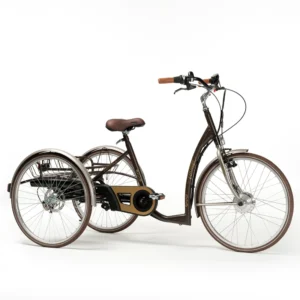 Vermeiren Vintage-E – trójkołowy rower rehabilitacyjny elektryczny dla dorosłych w stylu retro