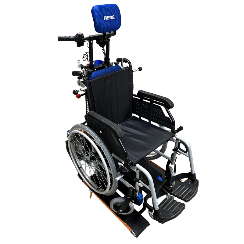 Schodołaz Gąsienicowy Platformowy LG 2004 T-LIFT udźwig do 300 kg – Mobilex
