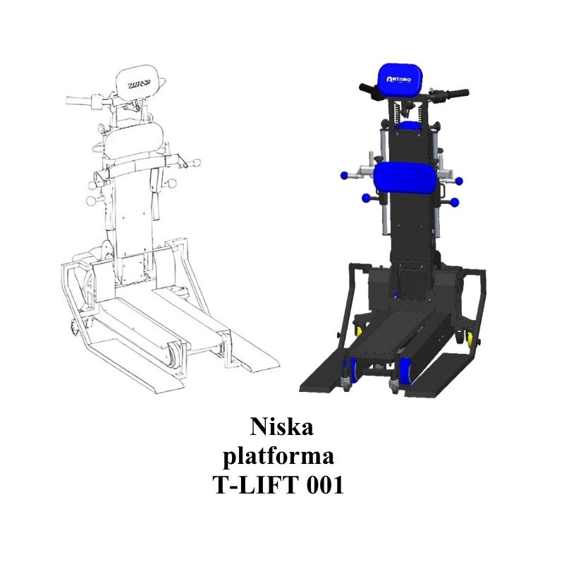 Schodołaz Gąsienicowy Platformowy LG 2004 T-LIFT udźwig do 300 kg – Mobilex